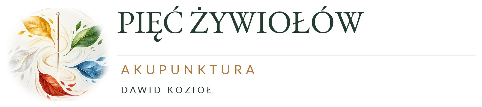 Pięć Żywiołów – Akupunktura, Dawid Kozioł
